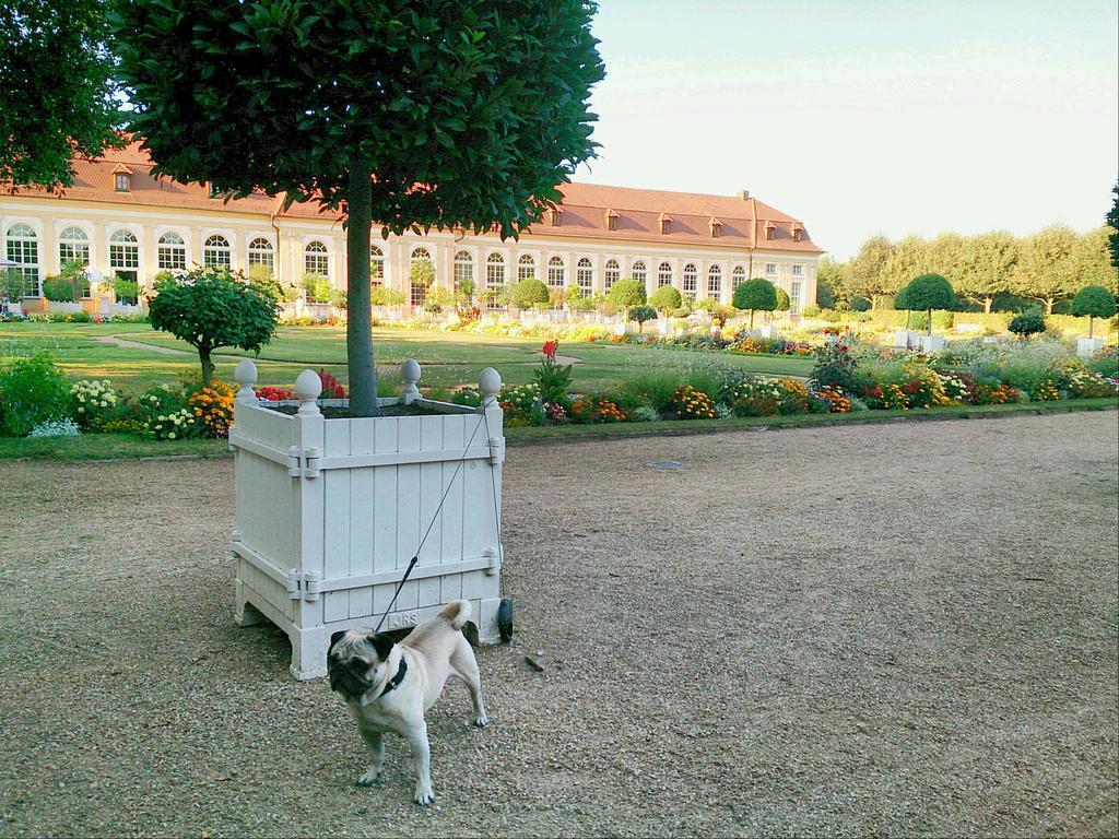 Der Platengarten Ansbach Exteriör bild